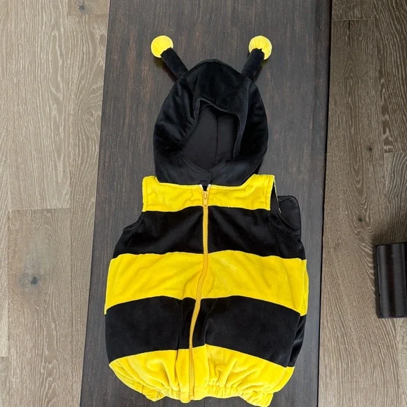 Black and Yellow Bee Costume - Picture 1 of 3